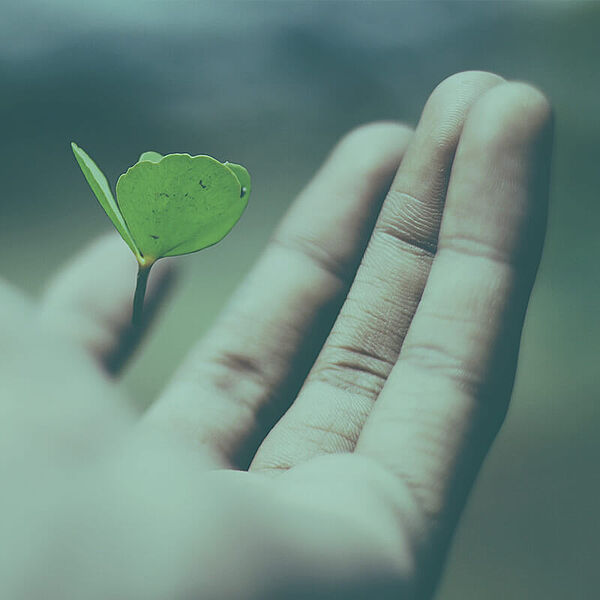 Main ouverte tenant une feuille verte