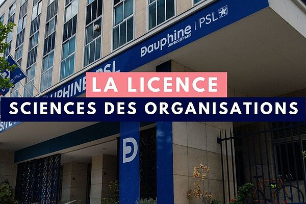 Devanture université Paris Dauphine - PSL, article Licence Sciences des Organisations Thotis media